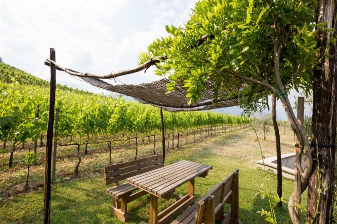 Residence La Vigna Arco Exterior foto